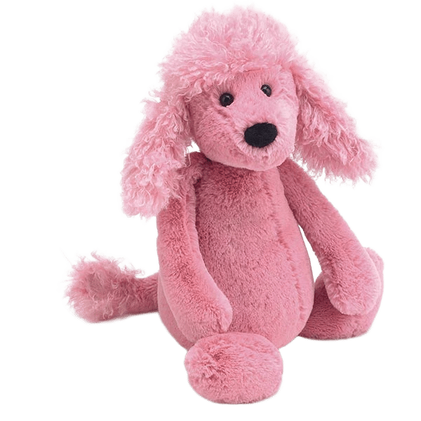 Bashful Poodle