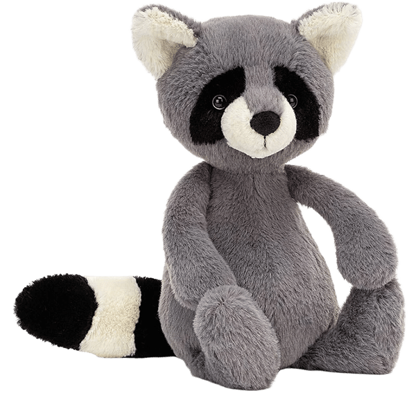 Bashful Raccoon