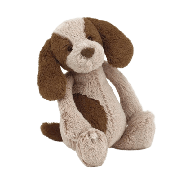 Bashful Spaniel