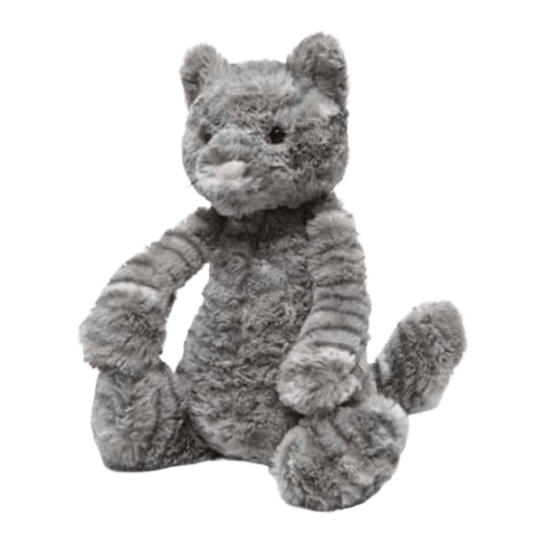 Bashful Tabby Kitten