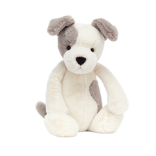 Bashful Terrier