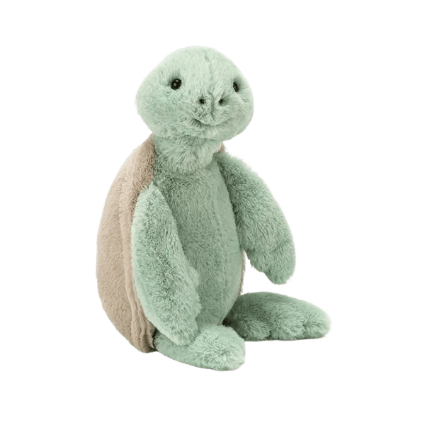 Bashful Turtle