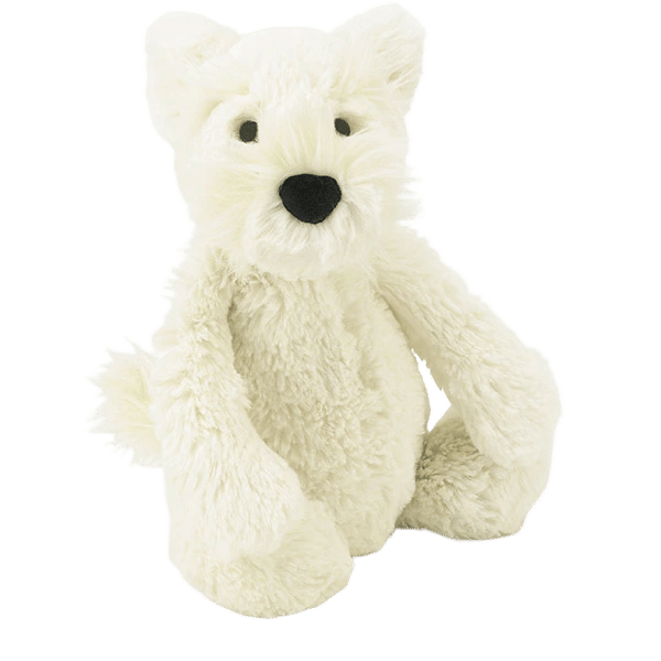 Bashful Westie