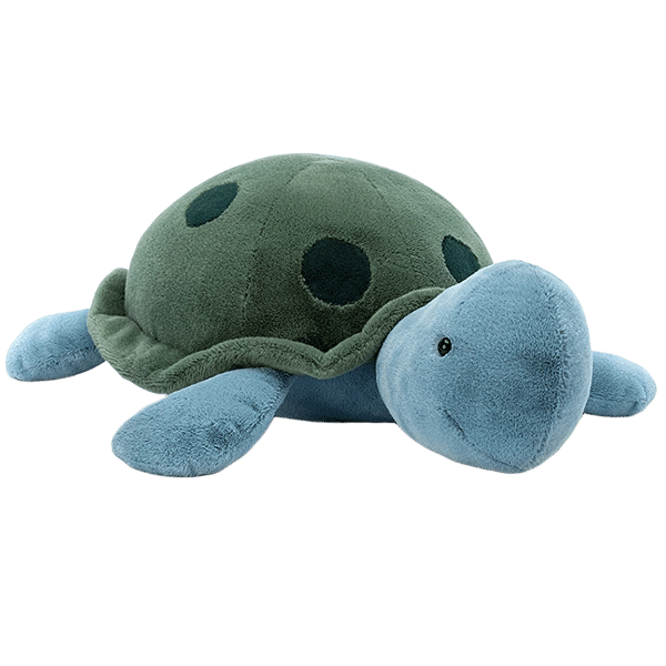 Big Spottie Turtle