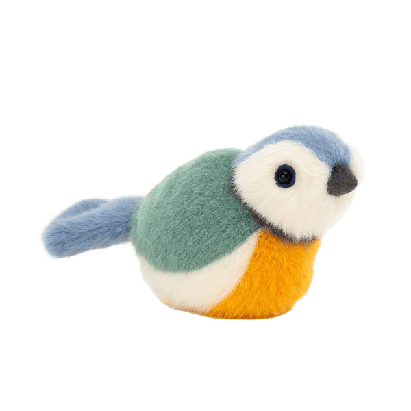 Birdling Blue Tit