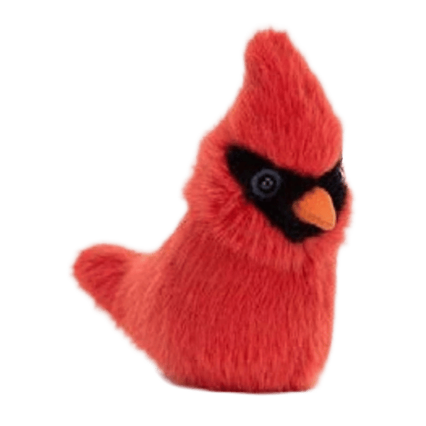 Birdling Cardinal