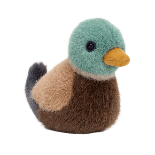 Birdling Mallard