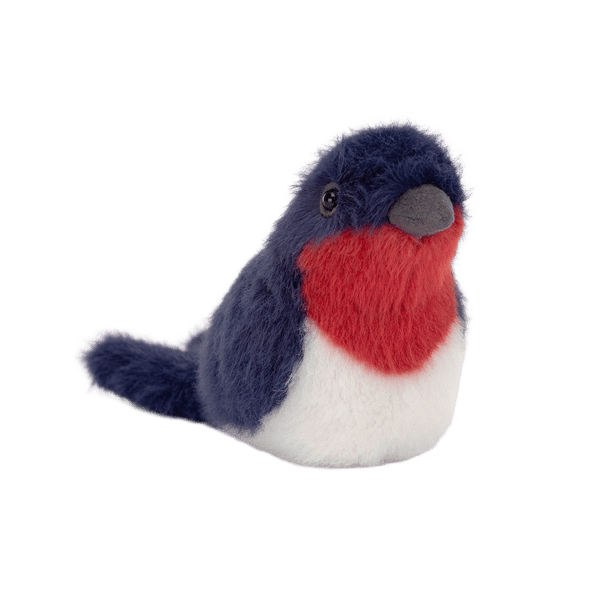 Birdling Swallow