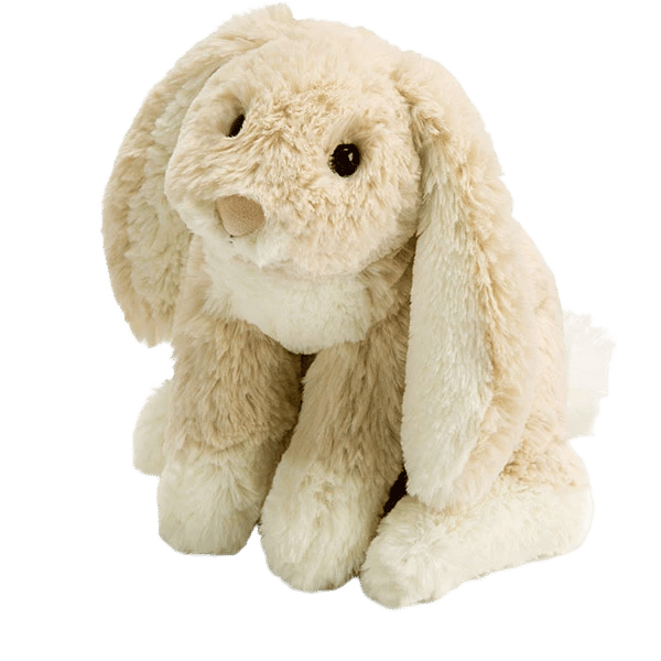 Loppy Oatmeal Bunny