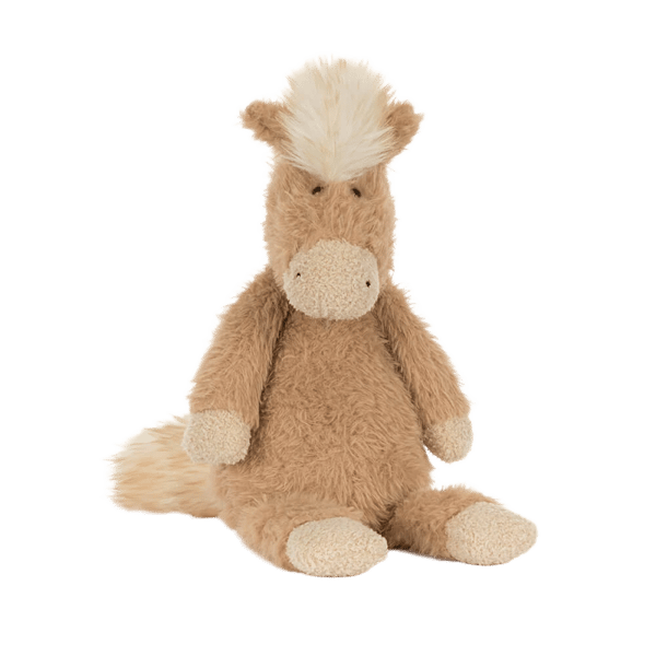 Canterneigh Pony