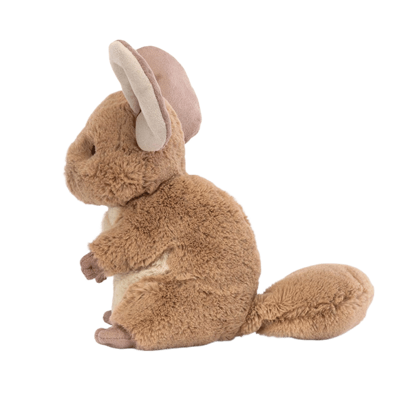 Chandler Chinchilla