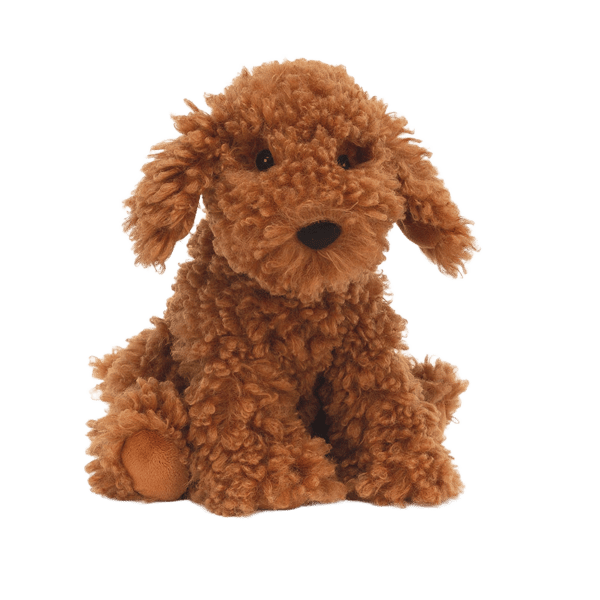 Cooper Doodle Dog