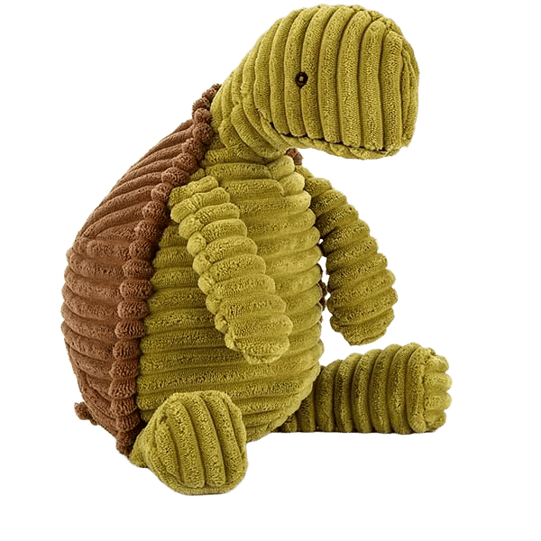 Cordy Roy Tortoise