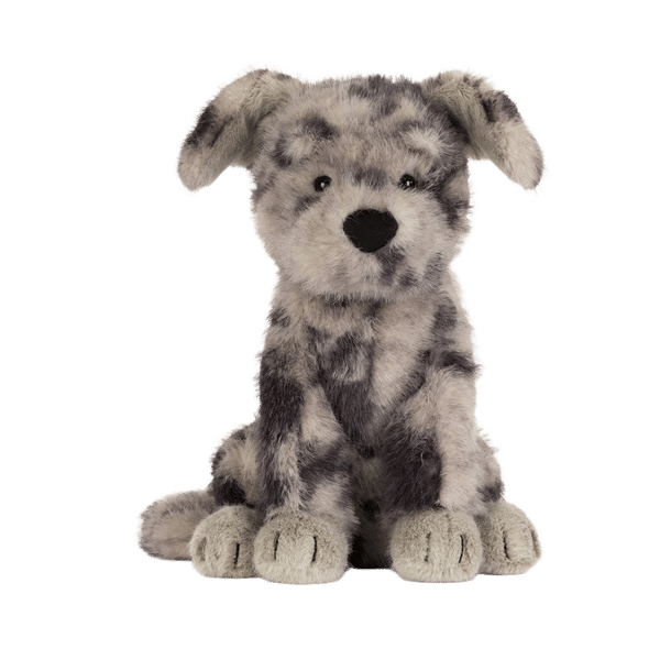 Fluff Rescue Dog