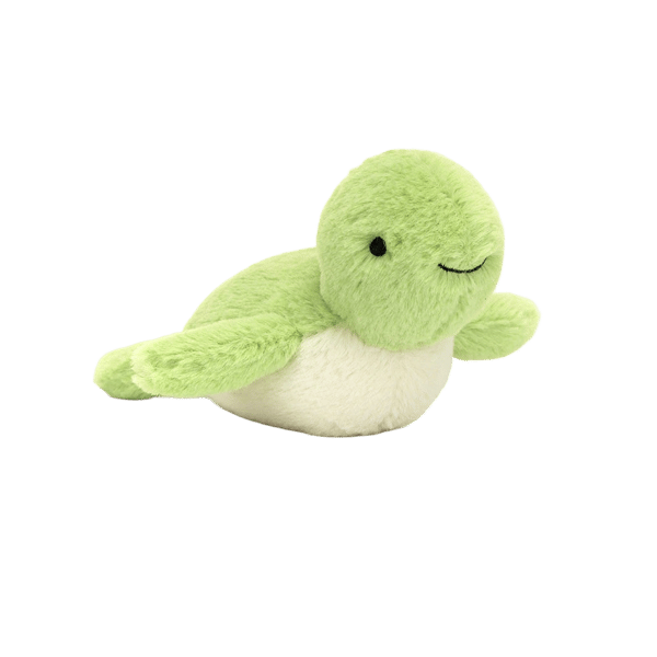 Fluffy Turtle