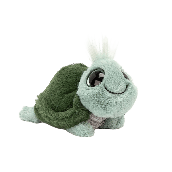 Frizzles Tortoise