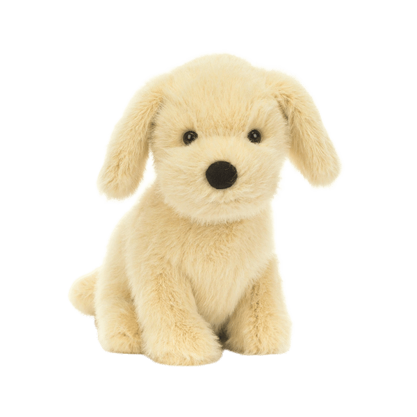 Golden Puppy