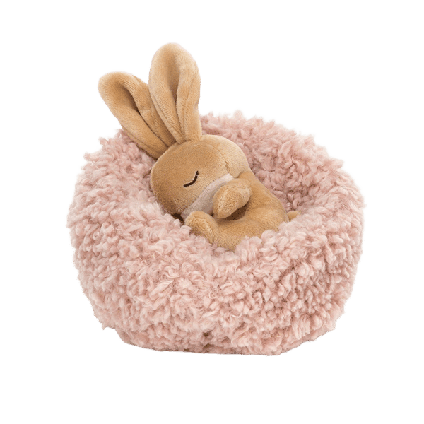 Hibernating Bunny