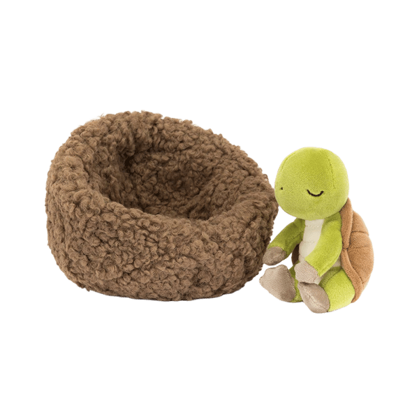 Hibernating Tortoise