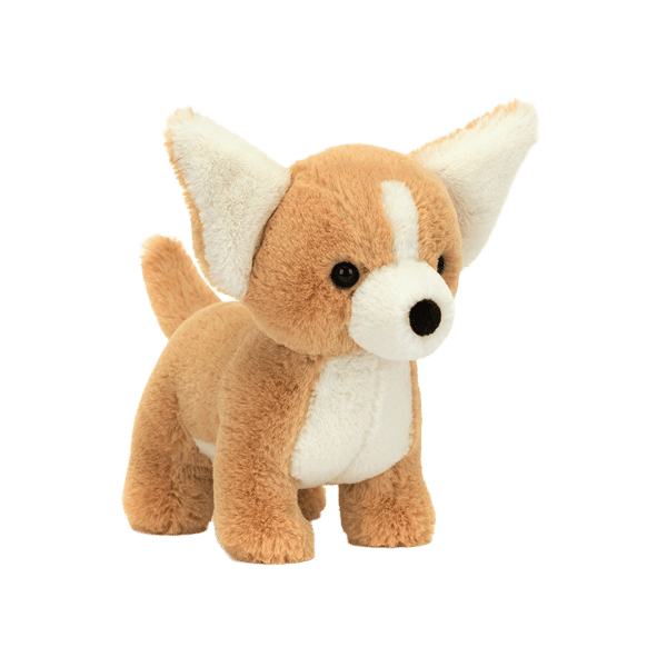 Isobel Chihuahua