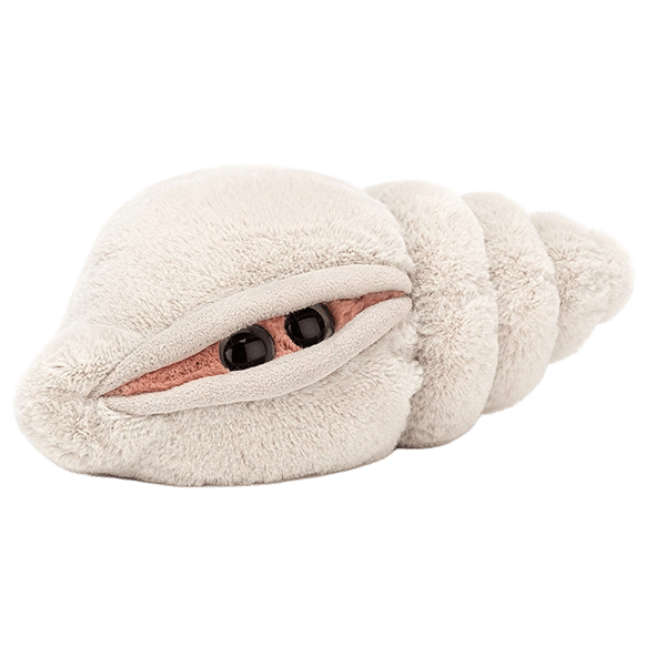 Katie Conch