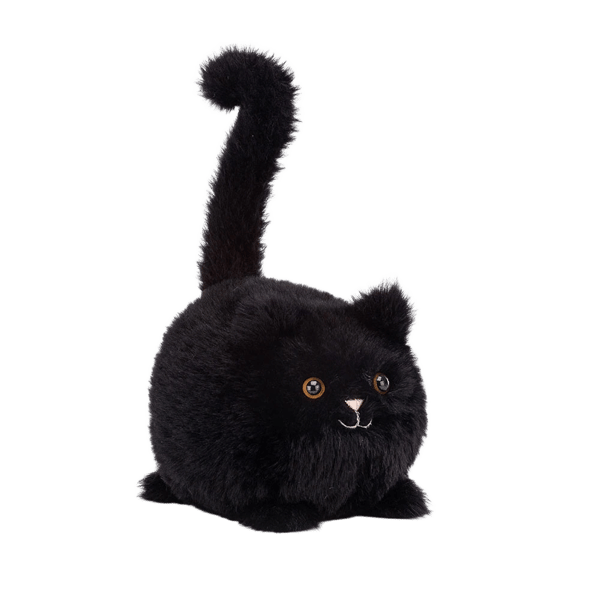 Kitten Caboodle - Black