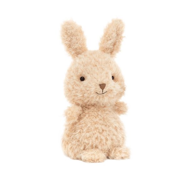 Little Bunny