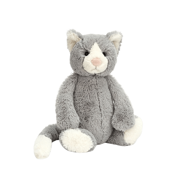 Bashful Cat