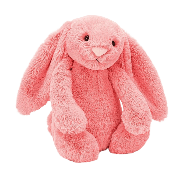 Bashful Coral Bunny