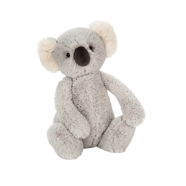 Bashful Koala 