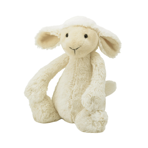 Bashful Lamb