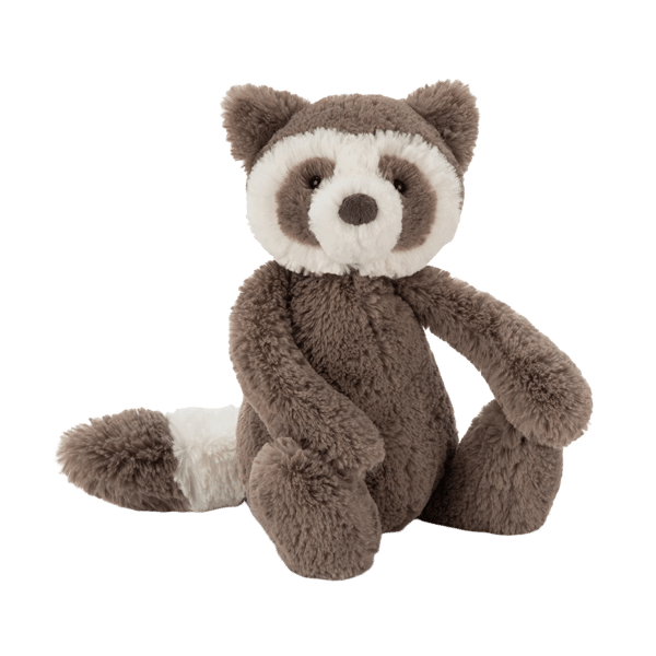 Bashful Raccoon