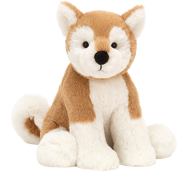 Milo Shiba Inu