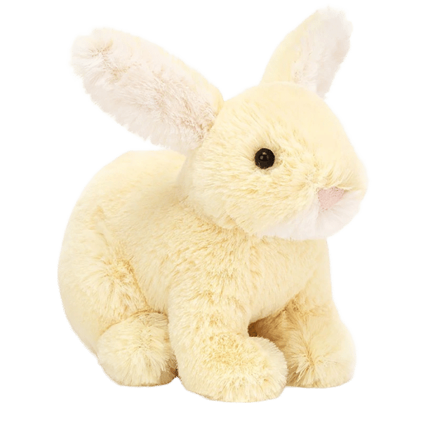 Minilop Lemon Bunny
