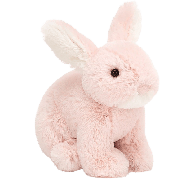 Minilop Rose Bunny