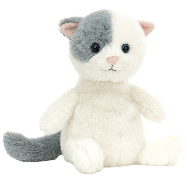 Munchkin Cat