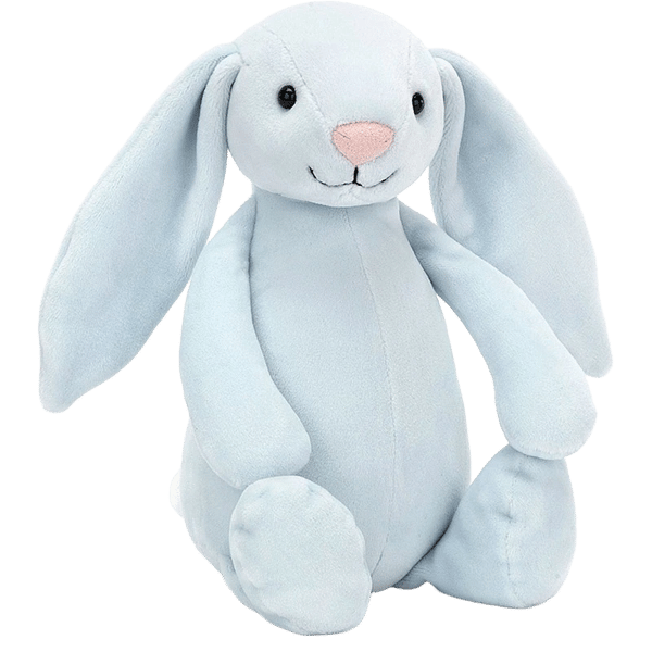 My Blue Bunny