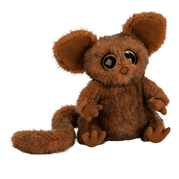 Nocturne Bush Baby