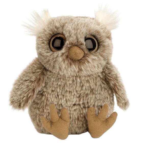 Nocturne Owl
