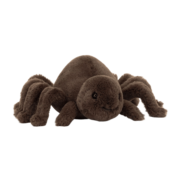 Ooky Spider