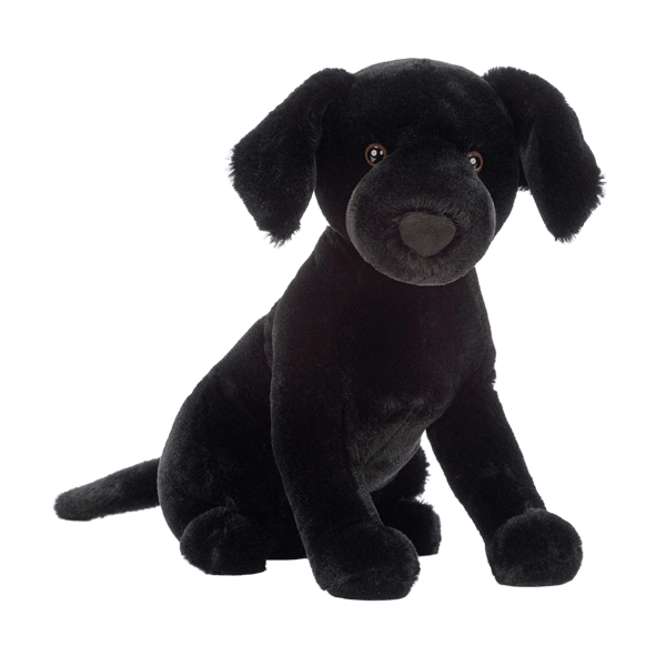 Pippa Black Labrador