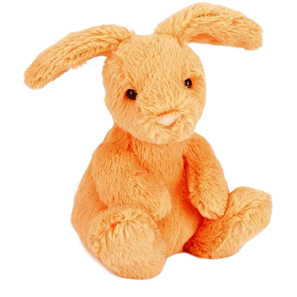 Poppet Orange Bunny
