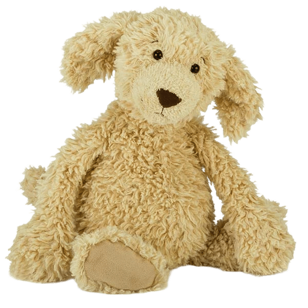 Raggedy Pup