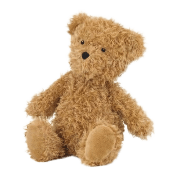 Raggedy-Roo Bear