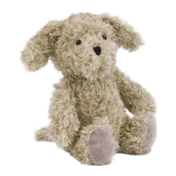 Raggedy-Roo Puppy