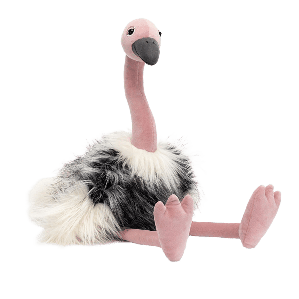 Ramonda Ostrich