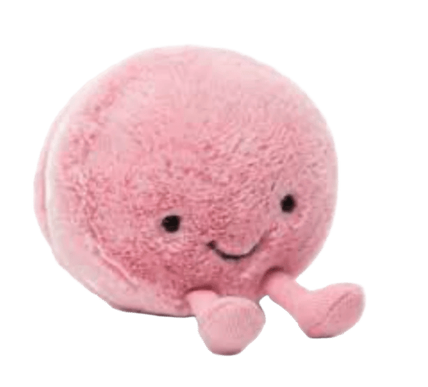 Raspberry Macaron