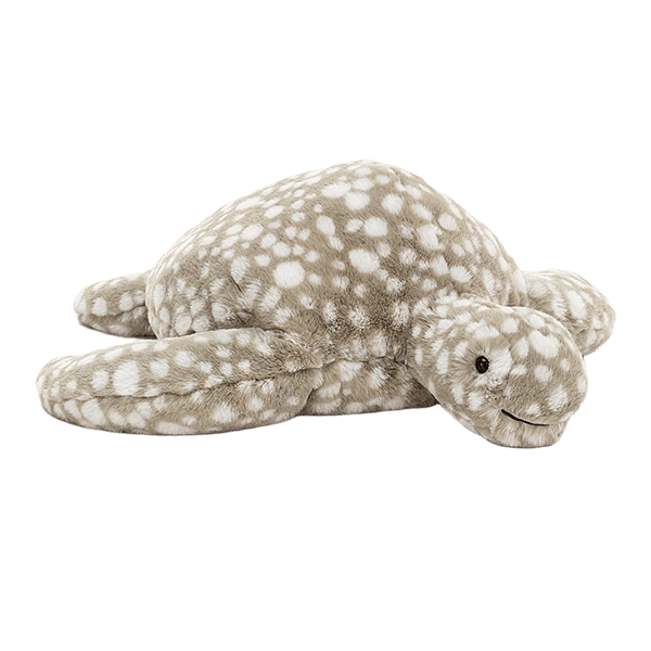 Shelby Sea Turtle