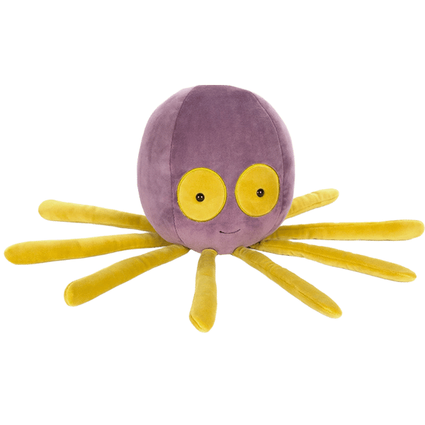 Shrinking Violet Octopus