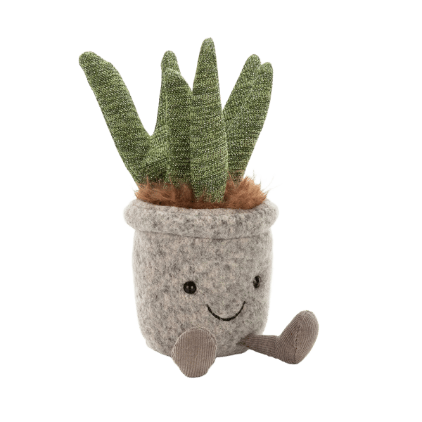 Silly Succulent Aloe